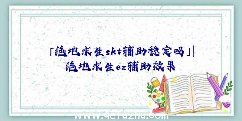 「绝地求生skt辅助稳定吗」|绝地求生ez辅助效果